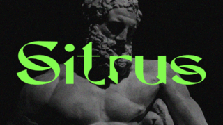 Dx Sitrus Font