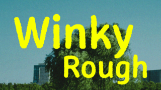 Winky Rough Font