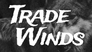 Trade Winds Font